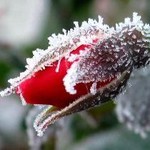 Прогноз погоды на четверг, 2 октября