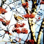 Прогноз погоды на пятницу, 3 октября