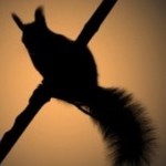 Прогноз погоды в Украине на четверг, 23 октября