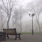Прогноз погоды в Харькове на пятницу, 7 ноября