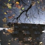 Прогноз погоды в Украине на пятницу, 14 ноября
