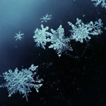 Прогноз погоды на понедельник, 24 ноября