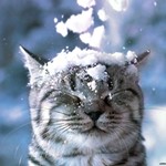 Прогноз погоды на четверг, 27 ноября