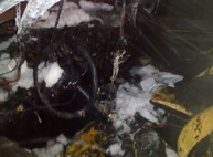 В Харькове сожгли еще одну иномарку (ФОТО)