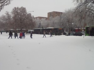 Транспортный коллапс на Салтовке: в час пик остановились троллейбусы (Дополнено, ФОТО)
