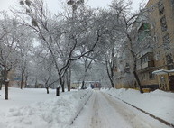 Прогноз погоды на завтра