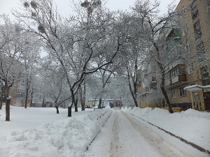 Прогноз погоды на завтра