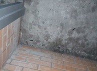 Стрельба в Харькове: за сутки горожане два раза использовали оружие (ФОТО, ВИДЕО)