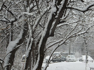 Прогноз погоды на сегодня