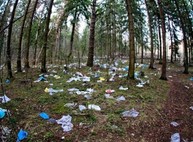 В Украине в разы увеличились штрафы за мусор и неосторожное обращение с огнем в лесу