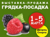 Куда пойти сегодня в Харькове