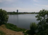 Воду из харьковских водоемов проверили под микроскопом: результаты лабораторных исследований