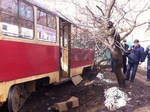 Очередной дрифт: на Салтовке трамвай снес дерево (ФОТО)