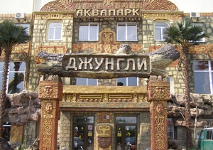 Из аквапарка госпитализировали детей с отравлением, руководство аквапарка препятствовало забору воды для следствия