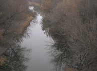 В Лопани всплыл утопленник