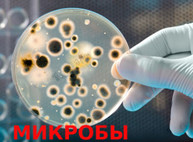 Куда пойти сегодня в Харькове