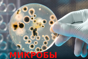 Куда пойти сегодня в Харькове