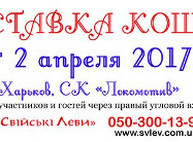 Куда пойти сегодня в Харькове