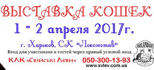 Куда пойти сегодня в Харькове