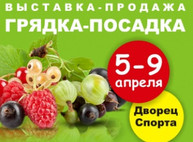 Куда пойти сегодня в Харькове