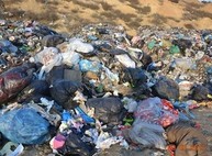 Одесские депутаты отказались принять львовский мусор