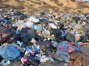 Одесские депутаты отказались принять львовский мусор