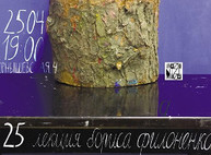 Куда пойти сегодня в Харькове