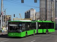 На Павловом поле ограничено движение транспорта