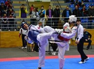 В Харькове состоится международный турнир по тхэквондо ВТФ «Ukraine Open Cup 2017»