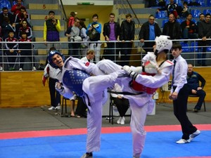В Харькове состоится международный турнир по тхэквондо ВТФ «Ukraine Open Cup 2017»