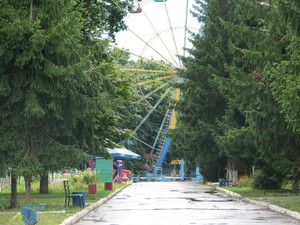 Из Зеленого гая предлагают сделать парк для тихого семейного отдыха – петиция