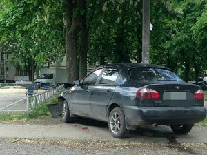 Пьяный харьковчанин на иномарке врезался в дерево и предлагал полицейским взятку (ФОТО)