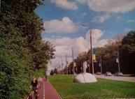 Харьковчане просят мэрию обустроить пешеходную дорогу – петиция