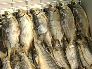 В Харьковской области шесть предпринимателей торговали сомнительной рыбой