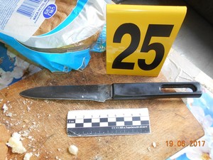 Под Харьковом подозреваемый в убийстве покончил с собой при задержании (ФОТО)