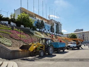 Университетскую горку украсит большая цветочная ветвь