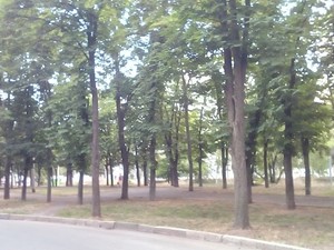 Харьковчане просят мэрию провести реконструкцию сквера за Госпромом – петиция