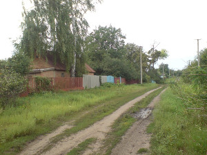 Железнодорожный начальник нашел в лесу Харьковщины мертвого человека