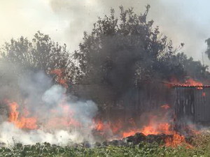 450 кв.м. огня: от выжигания сухой травы сгорело 4 тонны сена (ФОТО)