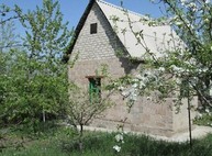Ночью в области напали на дачника