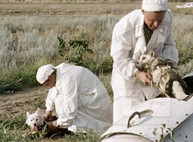Этот день в истории