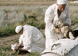 Этот день в истории