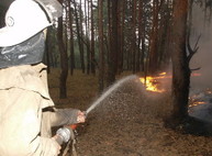 В области за сутки произошло 100 пожаров в экосистемах