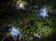 В саду Шевченко на деревьях развесили светящиеся инсталляции (ФОТО)