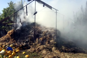 Крупный пожар в области: огромный сеновал мгновенно превратился в большое зарево (ФОТО)
