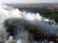 Лесной пожар под Красноградом разросся до 70 гектаров: началась эвакуация людей (ФОТО)