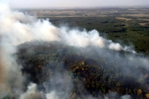 Лесной пожар под Красноградом разросся до 70 гектаров: началась эвакуация людей (ФОТО)
