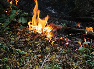 Пожар под Красноградом: ситуация под контролем, в лесу гасят последние языки пламени (ВИДЕО)