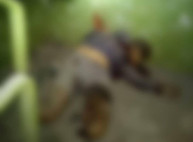 В подъезде многоэтажки взрывом гранаты убит молодой харьковчанин (ФОТО) — дополнено