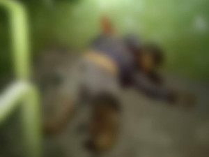 В подъезде многоэтажки взрывом гранаты убит молодой харьковчанин (ФОТО) — дополнено